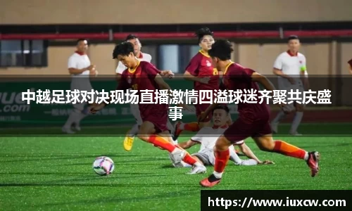 中越足球对决现场直播激情四溢球迷齐聚共庆盛事